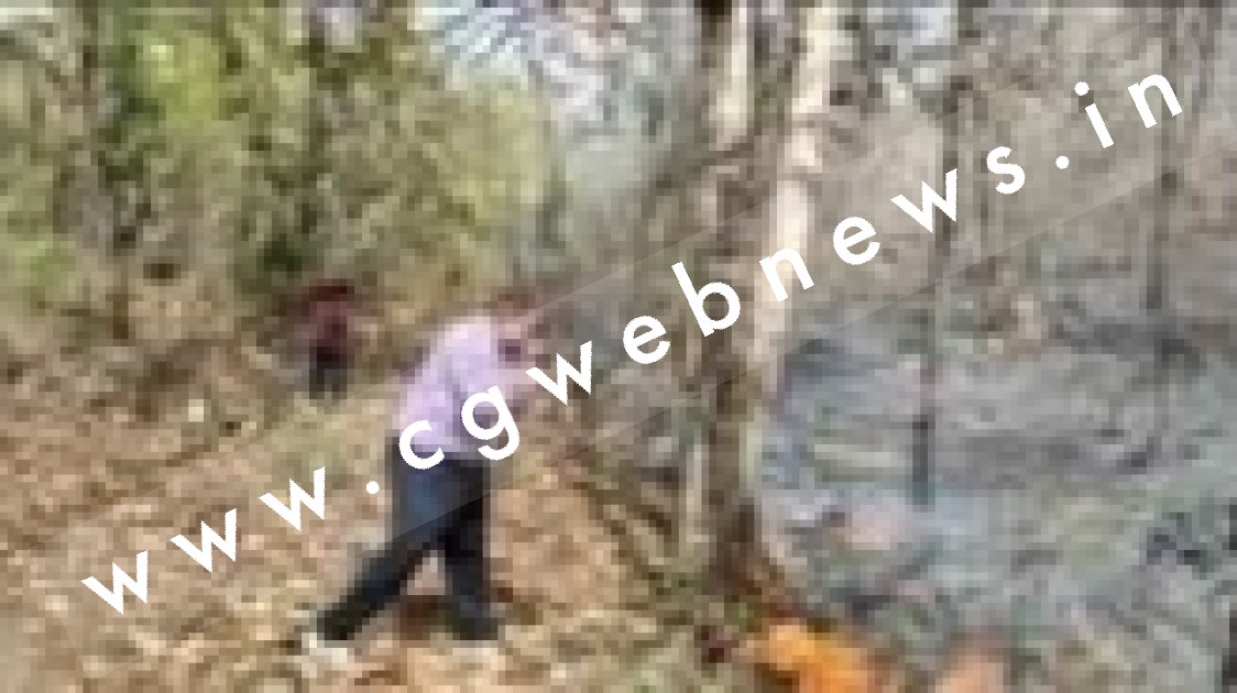 वन कर्मी हड़ताल में , जंगलों में लगी आग , आग बुझाने अधिकारी निकले AC चेम्बर से