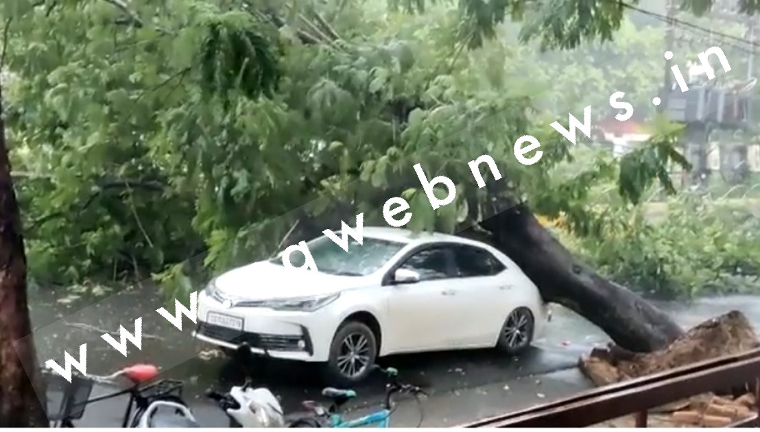 छत्तीसगढ़ में बड़ा टला , बिना किसी आँधी तूफान के पेंड़ कार पर गिरा