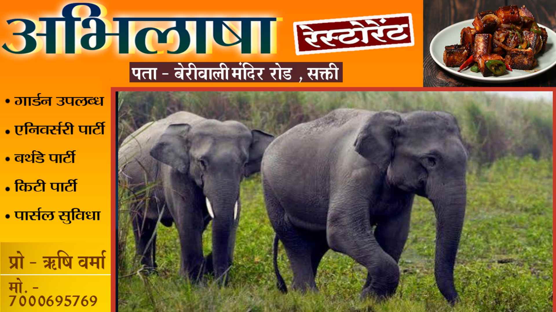 छत्तीसगढ़ - पिकनिक मना रहे युवकों पर हाथी ने किया हमला , एक युवक की मौत