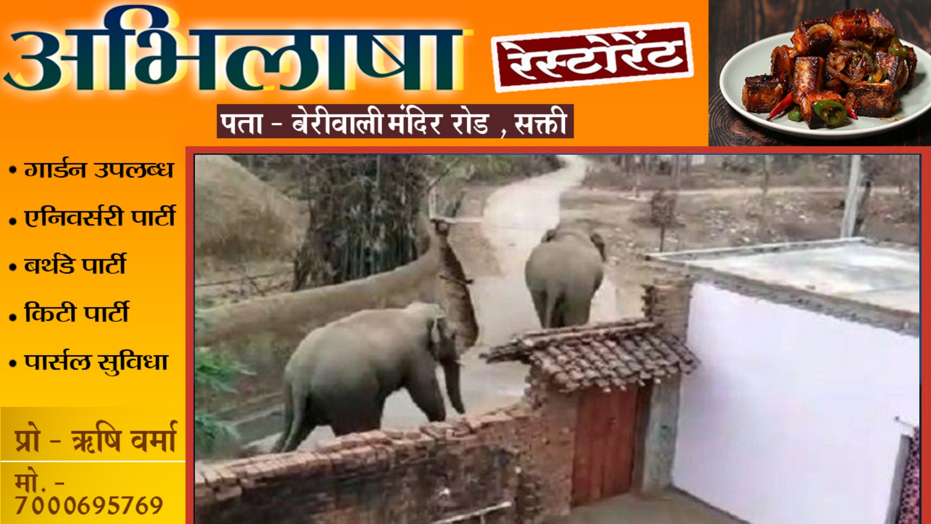 छत्तीसगढ़ के इस जिले में 27 हाथियों का दल कर रहा है विचरण , कड़ाके की ठंड में जान बचाने ग्रामीण कर रहे रतजगा